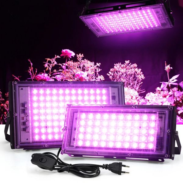 PhytoLamp a spettro completo LED Grow Light per piante Tenda Semina di fiori 50W 100W 200W AC 110V 220V Lampada da esterno Proiettore per esterni Grow Phyto Box