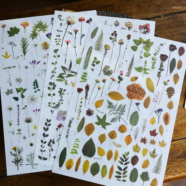 Papel de embrulho para presente Folhas de plantas Esfregar flores em adesivos Estética Scrapbook Diário Deco Transferência Adesivo Diário Decoração em tela Artesanato DIY