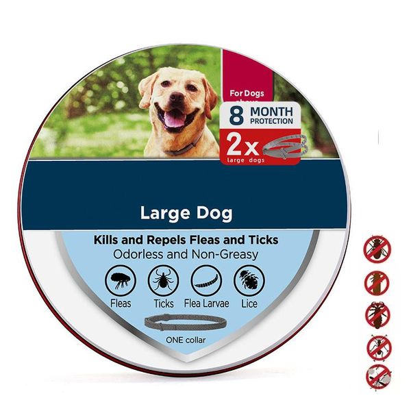 Kragen 2pcs Dogs Anti Floh Tick Collar Haustier 8 Monate Schutz Verstellbarer Mückenschutzkragen für Katze Welpe Große Hundebestellung Accessorie