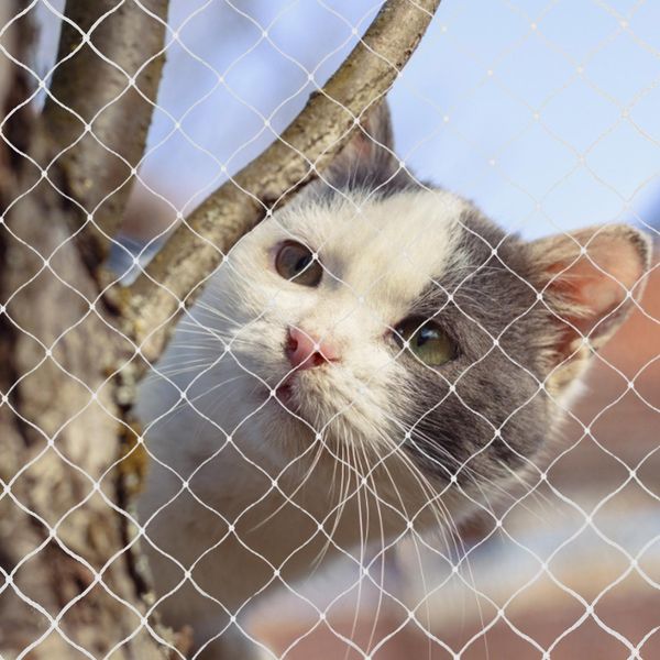 Parti Recinzione di protezione di sicurezza per gatti domestici Recinzione di rete anticaduta Recinzione per cani di gatto Recinzione protettiva in nylon trasparente con rete in nylon per balconi