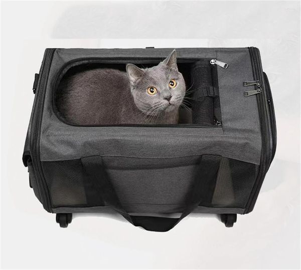 Trasportino per cani Borsa portatile con asta da tiro Zaino morbido Cat Pet Slung Travel Traspirante Pieghevole Piccolo trasporto da asporto.