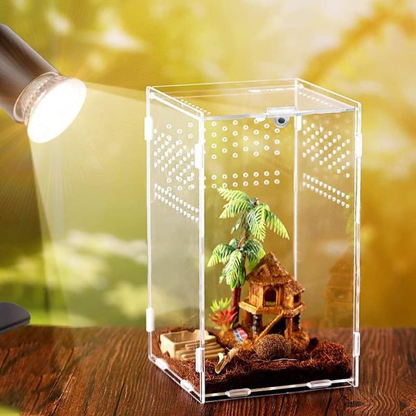 Terrários 40 pcs Acrílico Réptil Terrário Habitat Caixa de Criação Mini Transparente Répteis Gaiola com Capa Nano Arboreal Tarântula Gabinete