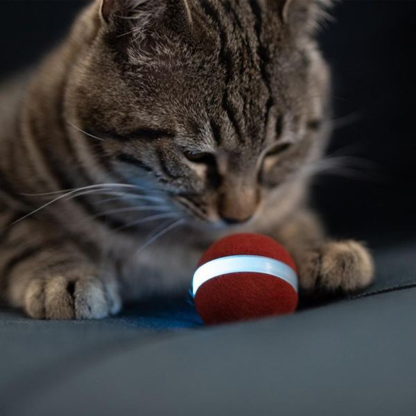 Oyuncaklar elektrikli otomatik kedi interaktif kedi topu şarj edilebilir 3 mod ücretsiz dönen akıllı kedi oyuncak topu kediler hediye kedi mutlu tut