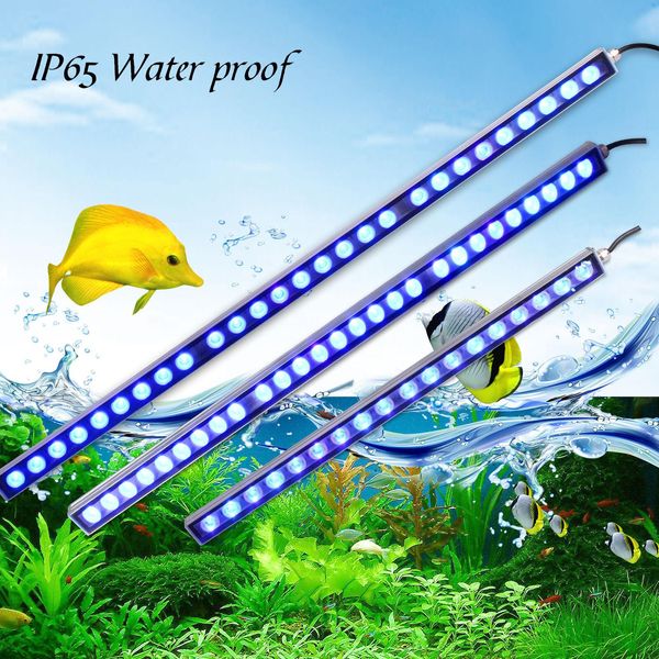 Illuminazione Populargrow Controllo Bluetooth 54W/81W/108W Luce per acquario a LED con lampada per pesci dimmerabile a LED 470nm per acquario di barriera corallina