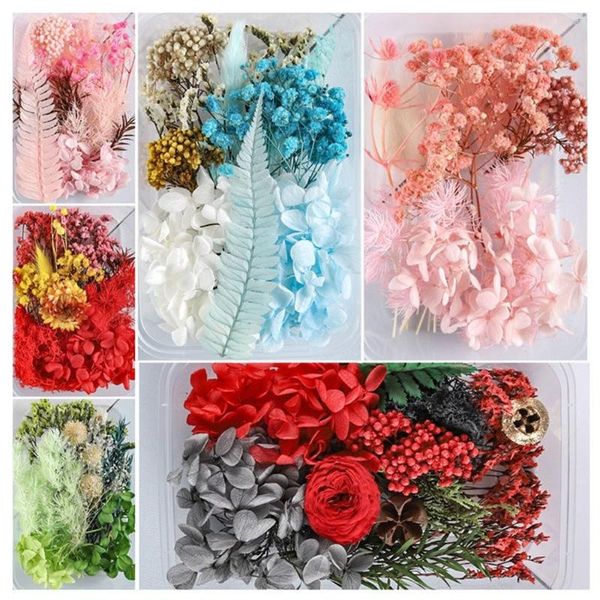 Dekorative Blumen Echte Natürliche Getrocknete Gepresste Für Po Rahmenkerze Epoxidharz Seifenherstellung Scrapbooking DIY Kunsthandwerk Malen Trockenpflanze