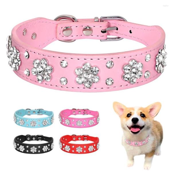 Köpek yaka bling rhinestone yaka kolyesi PU deri kedi yavrusu kolyeler küçük orta köpekler için kristal evcil hayvan aksesuarı