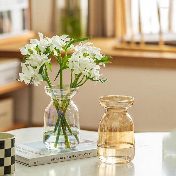 Vasi Vaso di fiori per decorazioni per la casa in stile nordico Vetro Desktop Terrario Bottiglia Ornamenti da tavolo Rustici