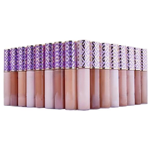 Contorno de maquiagem corretiva 10 cores areia clara justa bege tan 10ml Fundação líquida Cosméticos DHS Drop entrega 18aus