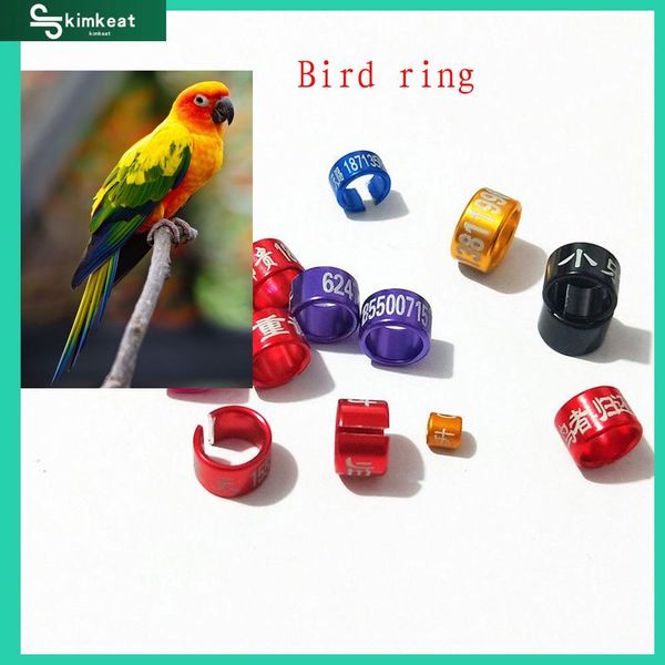 Forniture 20 pezzi in lega di alluminio Openloop anelli per gambe per uccelli piccione pappagallo canarino fringuello fasce per gambe Colorrandom