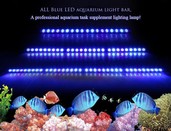 Lightings Populationsgrow 54W/81W/108W LED -Aquariumlicht mit nur 470 nm blauem Spektrum -Streifen Licht schön Ihre Korallenriff -Fischtanklampe