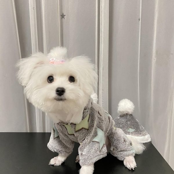 Pagliaccetti Tuta alla moda Modello a stella carino Felpa con cappuccio calda Gatto Autunno Inverno Abbigliamento Pigiama per animali Chihuahua Yorkshire Bulldog Barboncino Mascotte