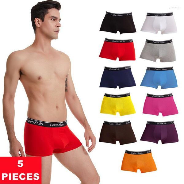 MUITOPANTES 5pcs Seda de seda boxer cartas de moda imprimindo confortáveis ​​shorts machos meninos roupas íntimas lingerie