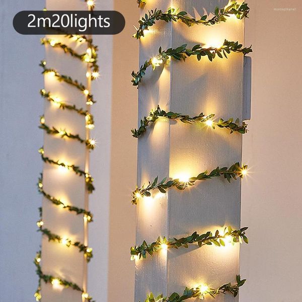 Strings Strip Light Lampada solare Lanterne a stringa Dimensioni compatte Decori per alberi Convenienza Illuminazione decorativa a bassa potenza 2M