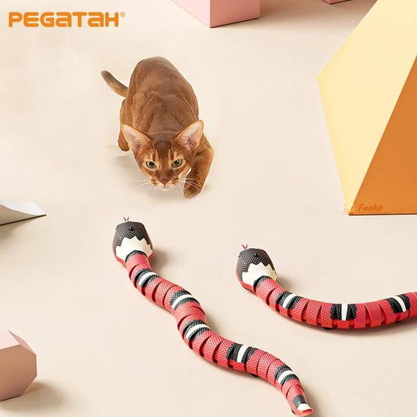 Giocattoli Giocattoli per gatti Smart Sensing Snake Giocattoli interattivi elettrici Ricarica USB Accessori per gatti per cani da compagnia Gioco divertente Giocattolo