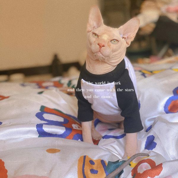 Roupas sphynx gato roupas casuais preto branco retalhos tshirts camisas de beisebol camisas roupas para animais de estimação gatinho filhote de cachorro cães traje