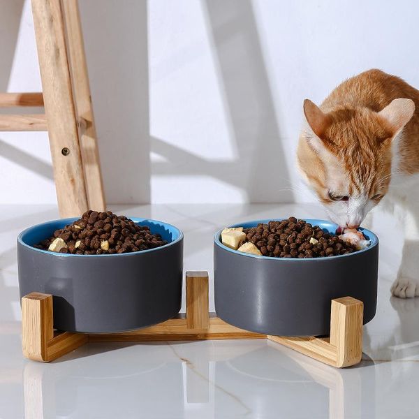 Conjunto de tigela de cerâmica para alimentação de cães, prato com suporte de madeira, tigelas elevadas para gatos, cães de estimação, tigela para alimentação de cães, cor pura, alimentador de água