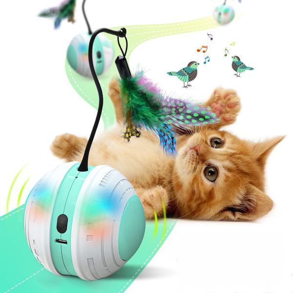 Игрушки Smart Cat Ball Toys Bird Sound Интерактивные игрушки для кошек Автоматическая зарядка через USB 360 градусов Электрический кошачье перо Забавные игрушки для котят