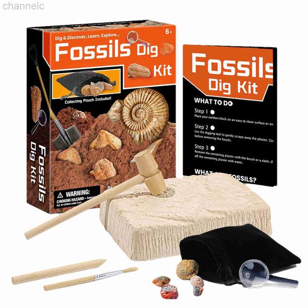 Science Discovery Arqueological Dig Kit Gemos de pedras e cristais Toys educacionais Kits STEM para os presentes de entusiastas da geologia da mineralogia