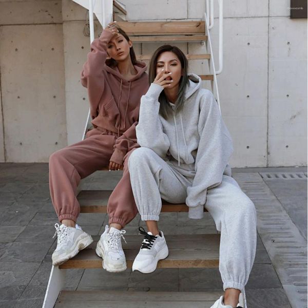 Mulheres duas peças calças outono mulheres terno tracksuit hoodies manga comprida com capuz sweatershirt conjunto feminino inverno quente veludo casual esporte