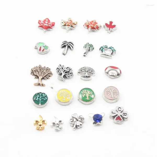 CHARMS 20pcs/Lot Mix Emaye Yaşayan Hafıza Cam Montajlı Konyaklar DIY Aksesuarları