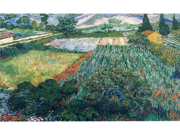 Handgemalte Leinwandkunst Vincent Van Gogh Gemälde Feld mit Mohnblumen für Wanddekoration6057818