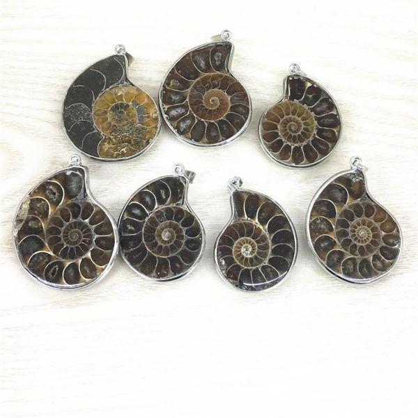 Colares pendentes por atacado 6pcs/lot moda pedra natural amonite snail conchel pingents para acessórios de jóias Fazendo droppendand
