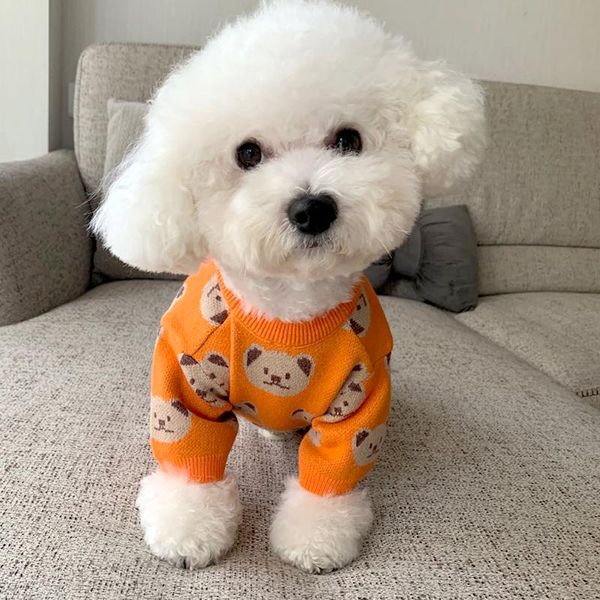 Толстовки Kawaii Bear Dog Свитера Оранжевая одежда для собак Свитер для чихуахуа Померанский шпиц Толстовка Зимний корейский стиль Одежда для собак Костюмы для домашних животных