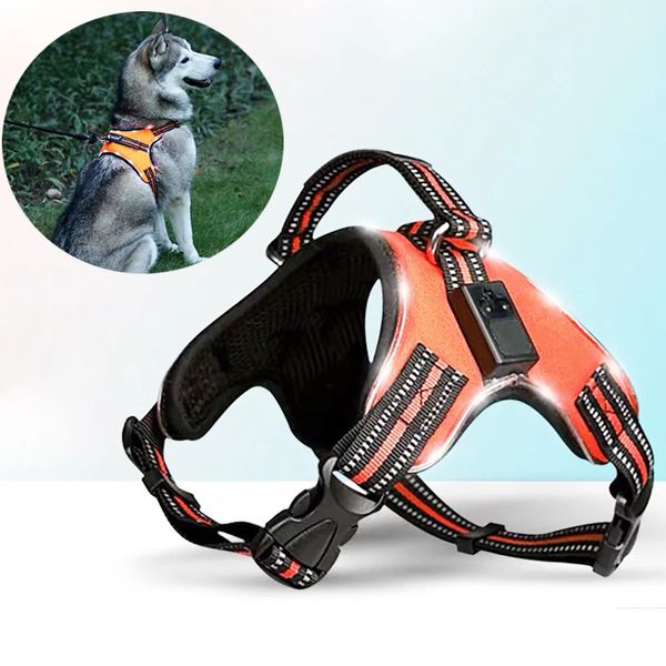 Hundehalsbänder, Leinen, wiederaufladbar, LED-Geschirr für Haustiere, Hundeschwanz, Nylon, LED-Blinklicht, Hundegeschirr, Halsband, Sicherheitsleine für Haustiere, Hundezubehör 231129