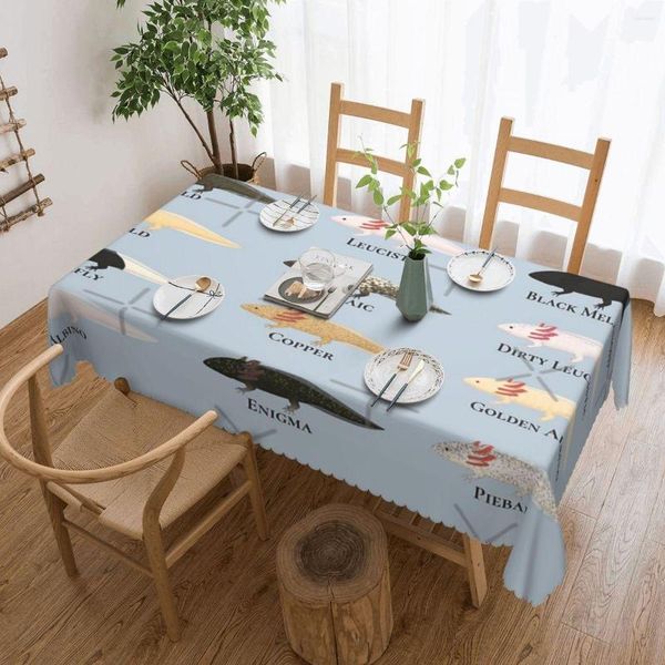 Tala de mesa todos os axolotl com etiquetas Toelas de mesa nórdicas Decoração de casamento de toalhas de aniversário fora