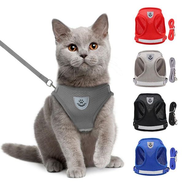 Collari per gatti Guinzagli imbracature riflettenti per gattini Accessori traspiranti Collare regolabile per gilet per animali domestici Goccia personalizzata per cani di piccola taglia