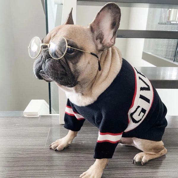 Tasarımcılar Köpek Beş Boyutlar Moda Pet Sweaters Lüks Markalar Köpek Giysileri Siyah ve Beyaz Köpek Kumaş Küçük Köpekler İçin