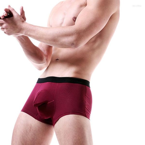 MUITAS MENINAS MENOS RECULHOS Modal Elephant Nariz Boxers Support Scrotal Support Bolsa de calcinha engraçada de pênis herren pênis herren masculinas curtas