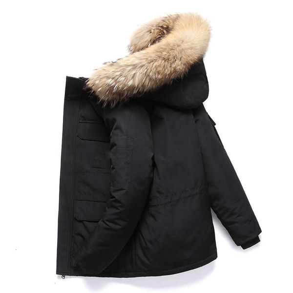 B, хит продаж, канадская модная уличная большая и высокая зимняя куртка, брендовая пуховая куртка с перьями для мужчин и женщин, 2VKIP