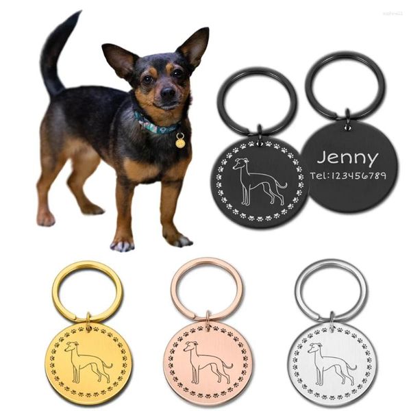 Etiqueta de identificação para animais de estimação, acessórios personalizados anti-perda, coleira personalizada, placa de nome gravada para cães pequenos, médios e grandes