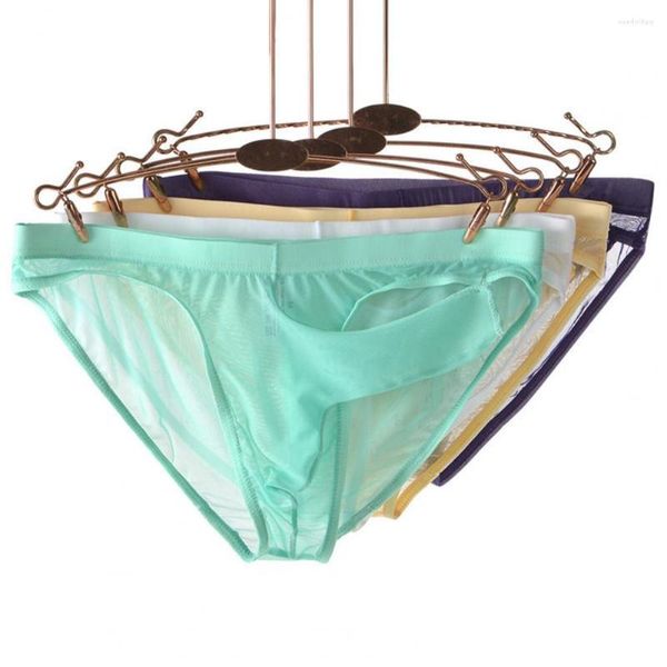 MUITAS PONTAS MENINAS LOW ARMAÇÃO 3D ELEPHANTE SOLID SOLIL COLORS BUROMES DE SCAPE RÁPIDO SOFT Sexy líquido transparente Fio de calcinha interna desgaste