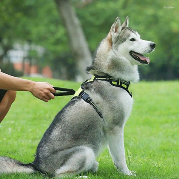 Collari per cani Imbracatura con maniglia di sollevamento Cintura toracica regolabile e facile da controllare Guinzaglio Corda a catena Imbracature Gilet riflettente Pet