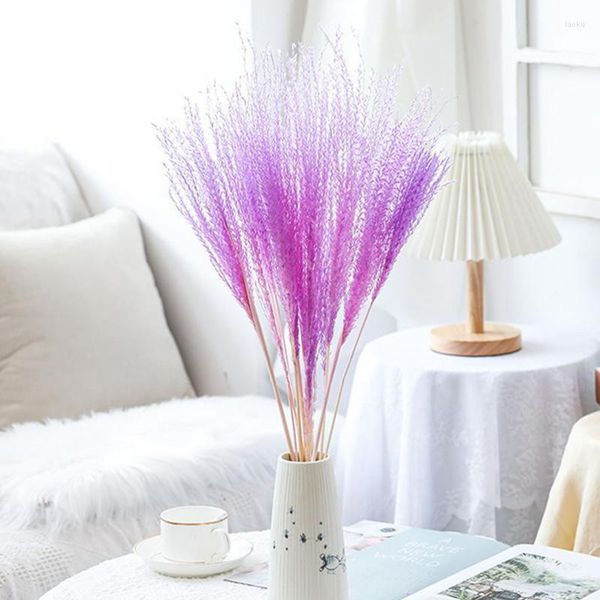 Fiori decorativi Polvere essiccata naturale Canna che soffia Pampas Erba Fiore Immortale Bouquet Accessori per feste Living Pink Room Decor