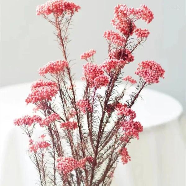 Flores decorativas 50g natural painço frutas secas flor decorações de natal 2023 venda plantas artificiais para decoração de casa casamento nupcial