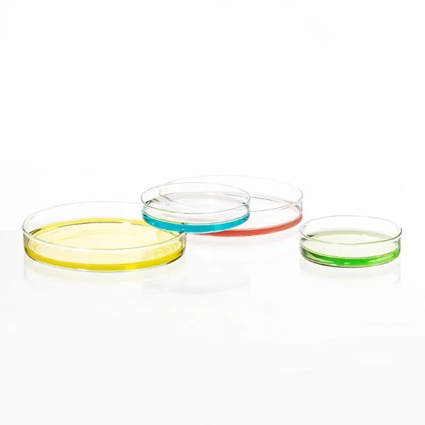 wholesale Piastra Petri in vetro borosilicato da 90 mm per forniture da laboratorio da 1 confezione / 5 pezzi per batteri da laboratorio chimico Coltura di tessuti di lievito BJ