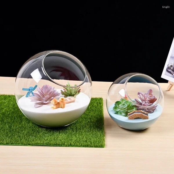 Vasen 1pcs 8/10/12cm Mikrolandschaft Glas Vase Sukkulente Pflanzen Terrarium Container Blumentöpfe Kreativität Taukollektion Kollektion