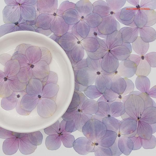 Dekoratif Çiçekler 60 PC/Set Doğal Pembe Mor Hydrangea DIY kurutulmuş UV Expoxy Reçine Kalıp Doldurma Çiçek Tırnak Sanatı Preslenmiş Makyaj