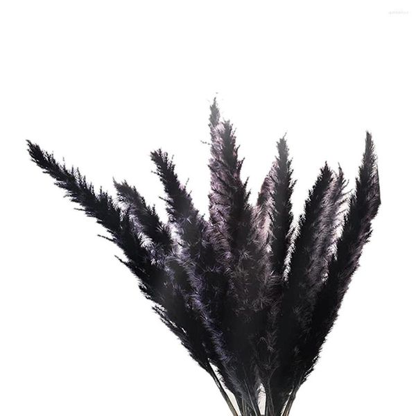 Flores decorativas 30pcs preto pampas grama 17 polegadas natura