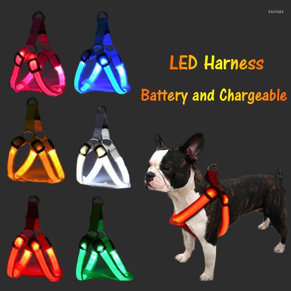 Hundehalsbänder USB LED-Geschirr Wiederaufladbares Licht Haustier Katze Gehleine Weste Sicherheitshalsband Nylon Blinkzubehör für Teddyziegen