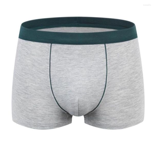 Unterhosen Herren Boxershorts Baumwolle Atmungsaktive Knickers Elastische Unterwäsche Bulge Pouch Pantie Sexy Dessous Plus Größe XL-7XL