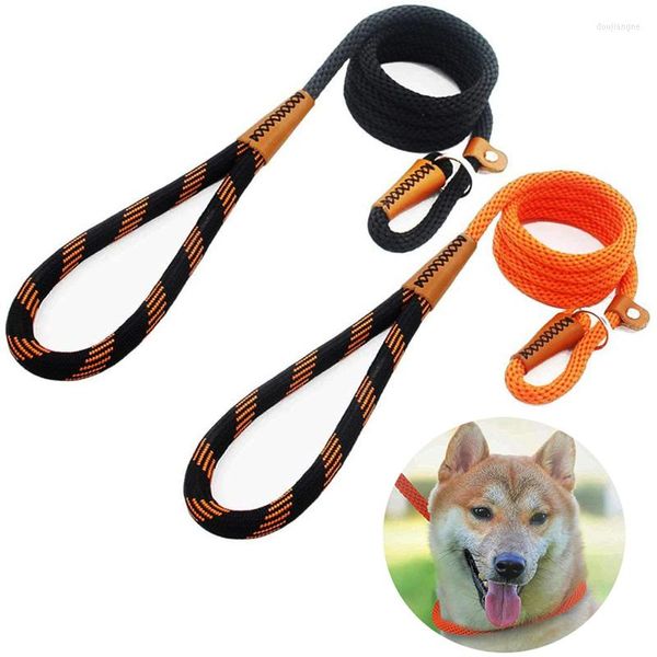 Hundehalsbänder, langlebig, Rutschseil-Leine, 2-in-1, verstellbares Schlaufenhalsband, bequem, unterstützt das stärkste Ziehen großer, mittelgroßer Hunde