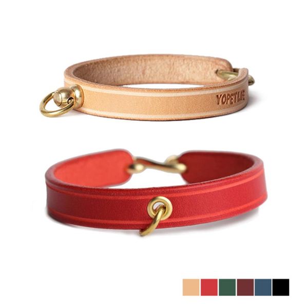 Collari per cani Guinzagli Collare con ciondolo regolabile Personalizzato Designer di lusso Imbracatura per barboncino Coleira Cachorro Cani Accessori per animali domestici AB50XQ