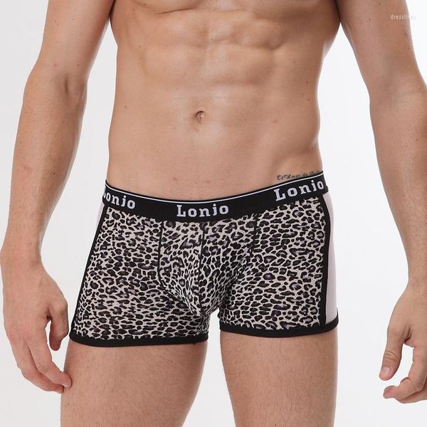 MUITOPANTES SEXY GAY RUSCURS MENINO PUBLICADORES LEOPARD U CONVEX Bolsa short