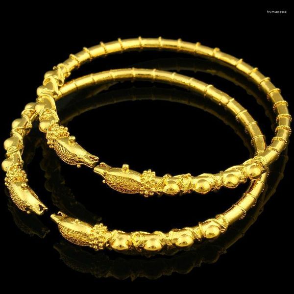 Armreif Drachen-Armband für Damen und Herren, goldfarbener Schmuck, äthiopische/USA/afrikanische Tier-Armreifen, Artikel Trum22