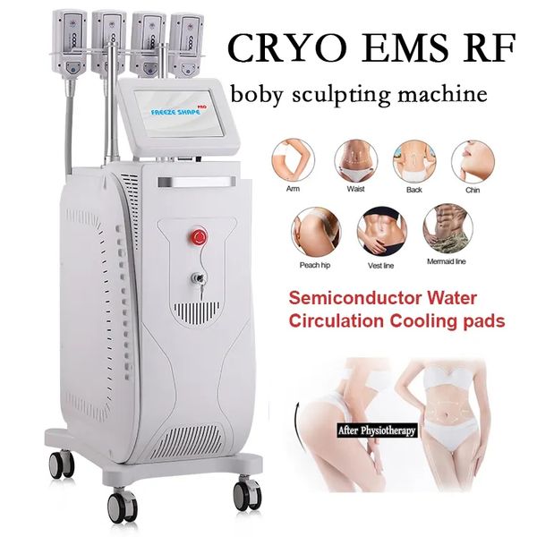 Terapia dimagrante per criolipolisi Cryoskin Pad EMS Macchina per la rimozione del grasso testardo Body scuplting Perdita di peso Dispositivo di massaggio con -11 gradi