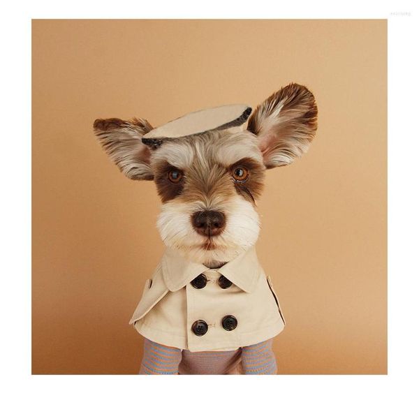 Collaro di abbigliamento per cani Beige Pet Bandana Scarf British Style Trench Coat Coat Collari per gatti per piccoli cuccioli di bandage Accessori